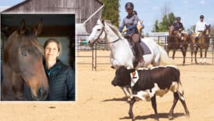 A photo of Lise Leblanc inset onto a photo of a woman herding a steer.