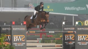 Mathilde Candele jumping Disco over a fence at WEF.