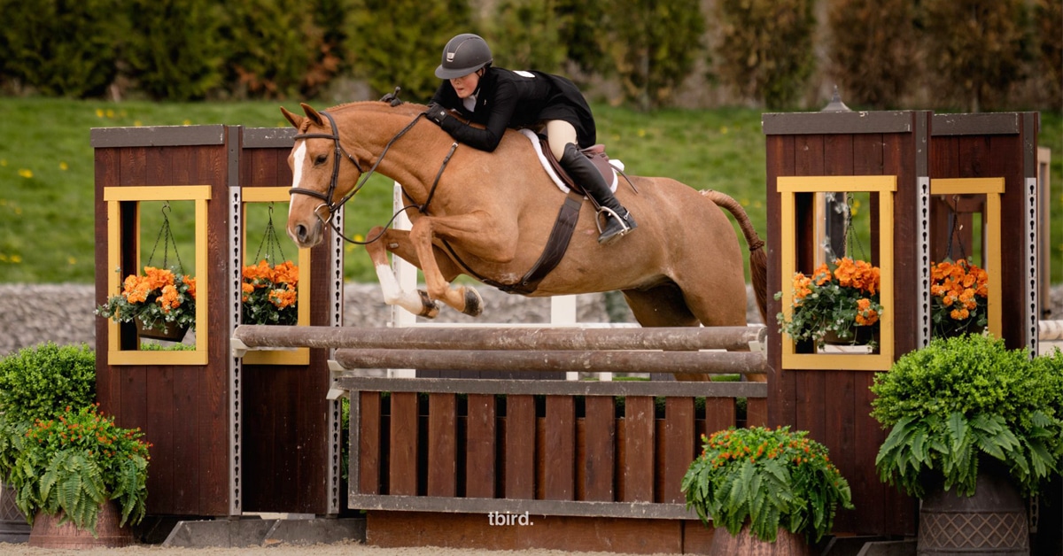 Thumbnail for Sloane Betker Takes Canadian Hunter Derby at Tbird