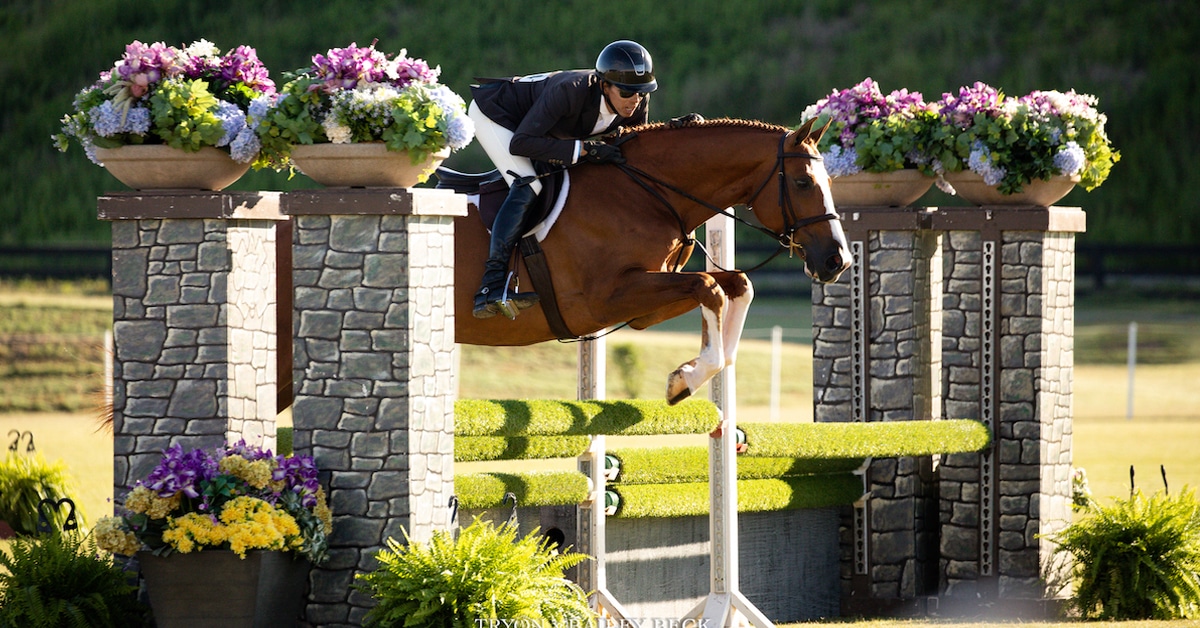 A hunter competitor jumping a fence at Tryon.