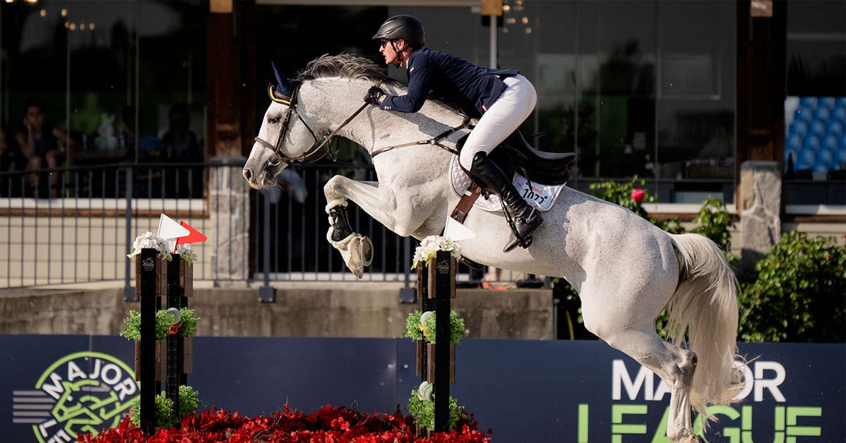 Daniel Coyle and the grey Gisborne VDL jumping a fence at tbird.