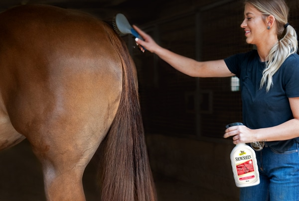 A woman applying ShowSheen to a horse's tail.