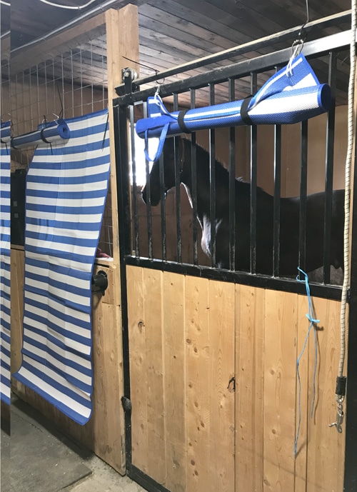 A horse in a stall with blinds.