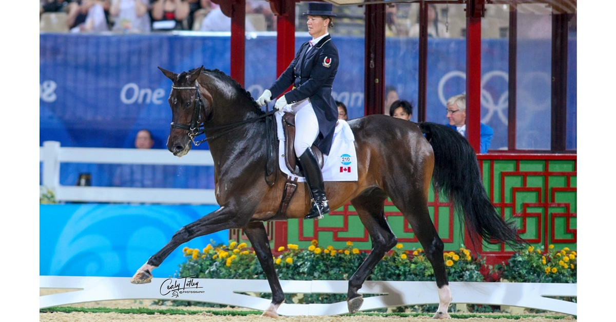Jacqueline Brooks and Gran Gesto in the arena at the 2008 Olympics in Beijing.