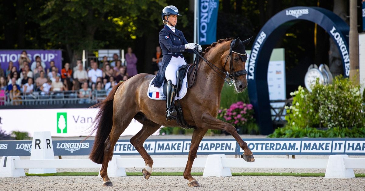 Thumbnail for French Team Wins Dressage Nations Cup in Rotterdam