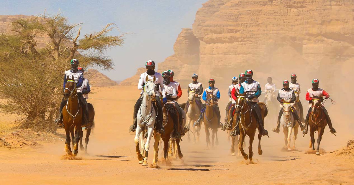 Horses and riders in a desert endurance race.