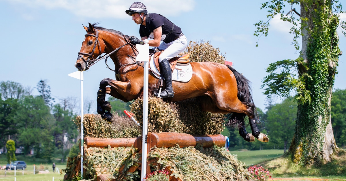 Thumbnail for New Zealand Victorious in FEI Eventing Nations Cup