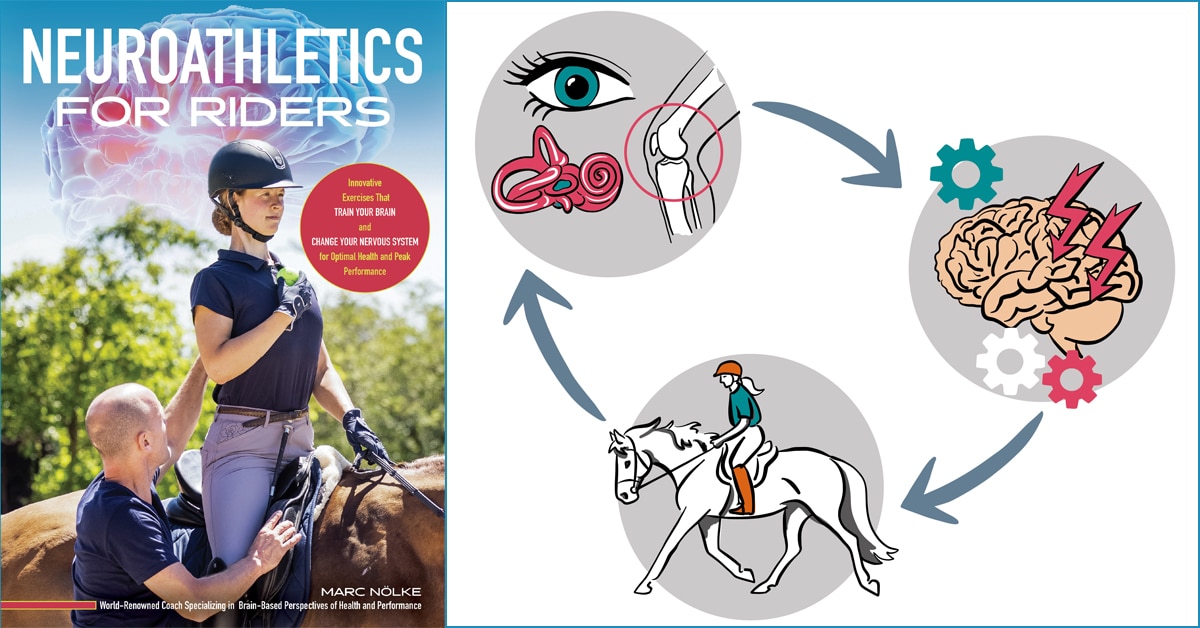 The NeuroAthletics book cover and a graphic illustrating the 3 things the brain does.