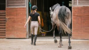 A woman walking a horse into a barn.