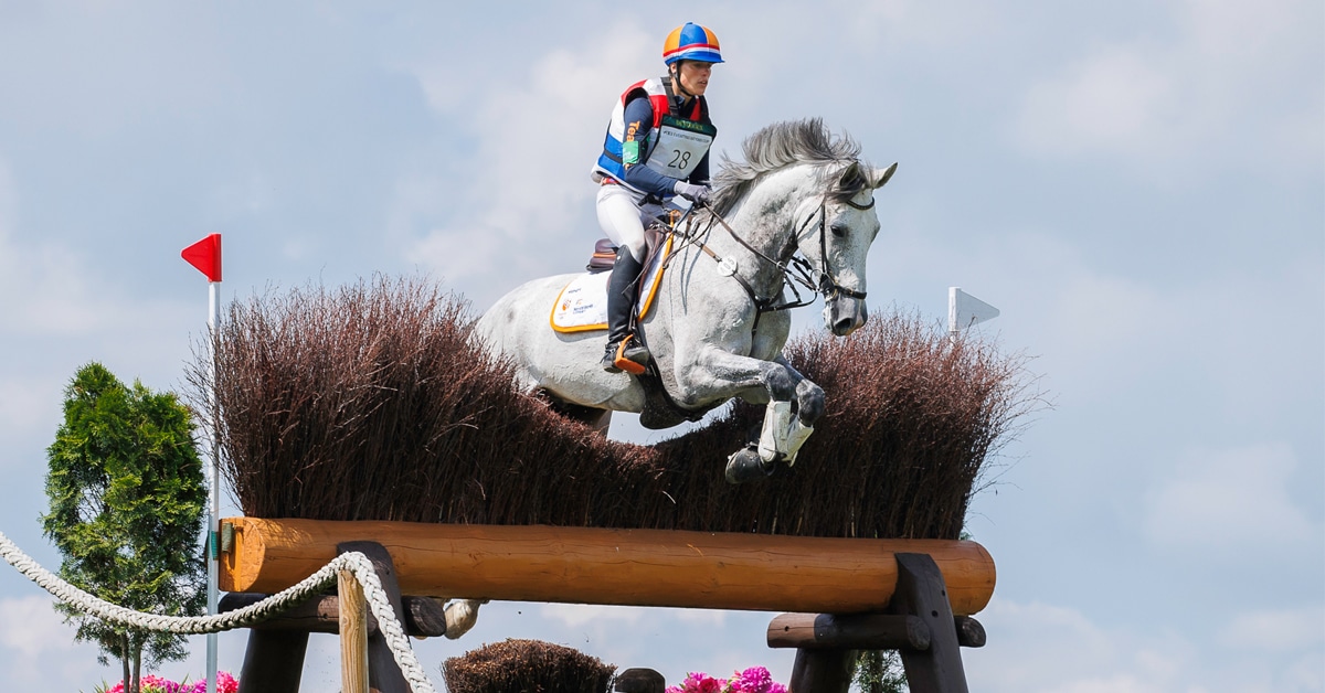 A rider on a grey horse jumping a cross-country fence.