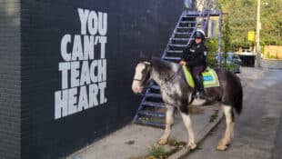 A mounted police officer on a Toronto street.