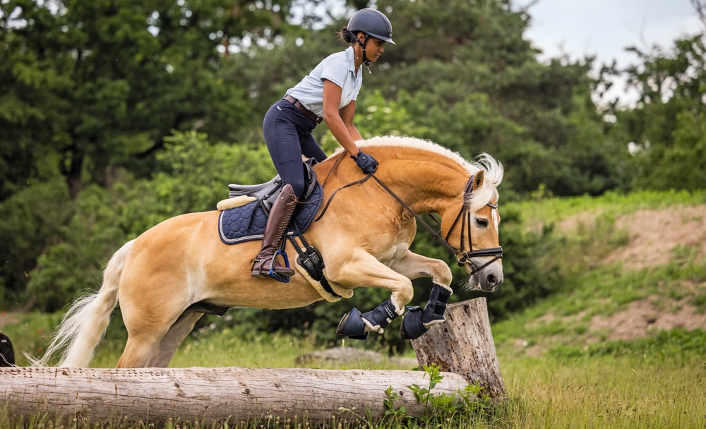A horse and rider jumping a small log.