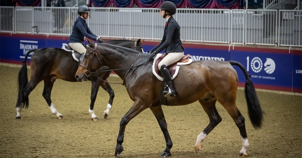 Two hunter competitors in the ring at the Royal.