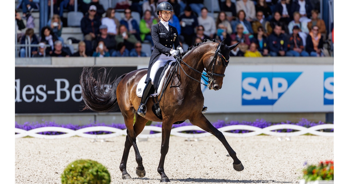 A dressage rider and horse performing in an arena.