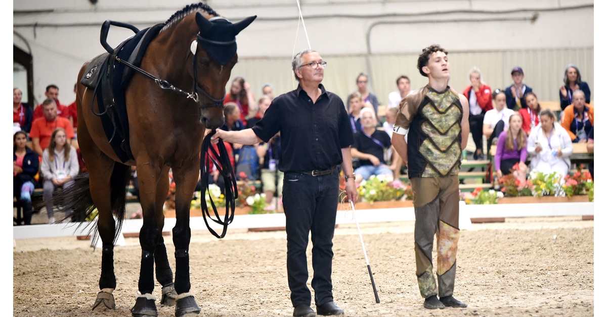 A vaulting horse standing with the lunger and athlete.