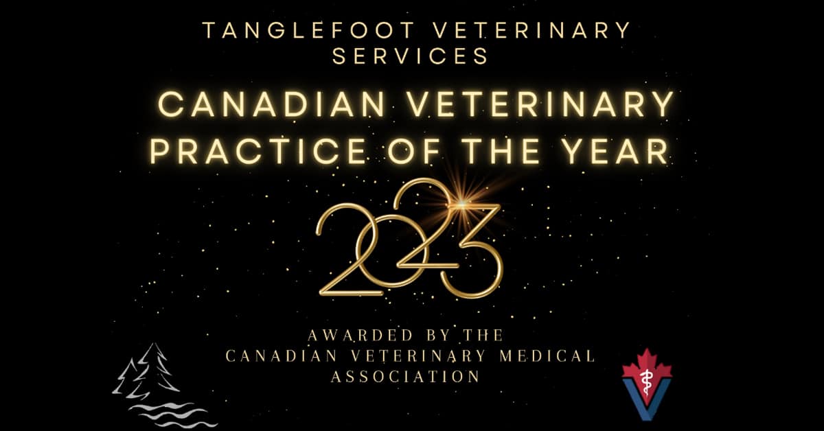 Thumbnail for Canadian Veterinary Medical Assoc. Announces Award Winners