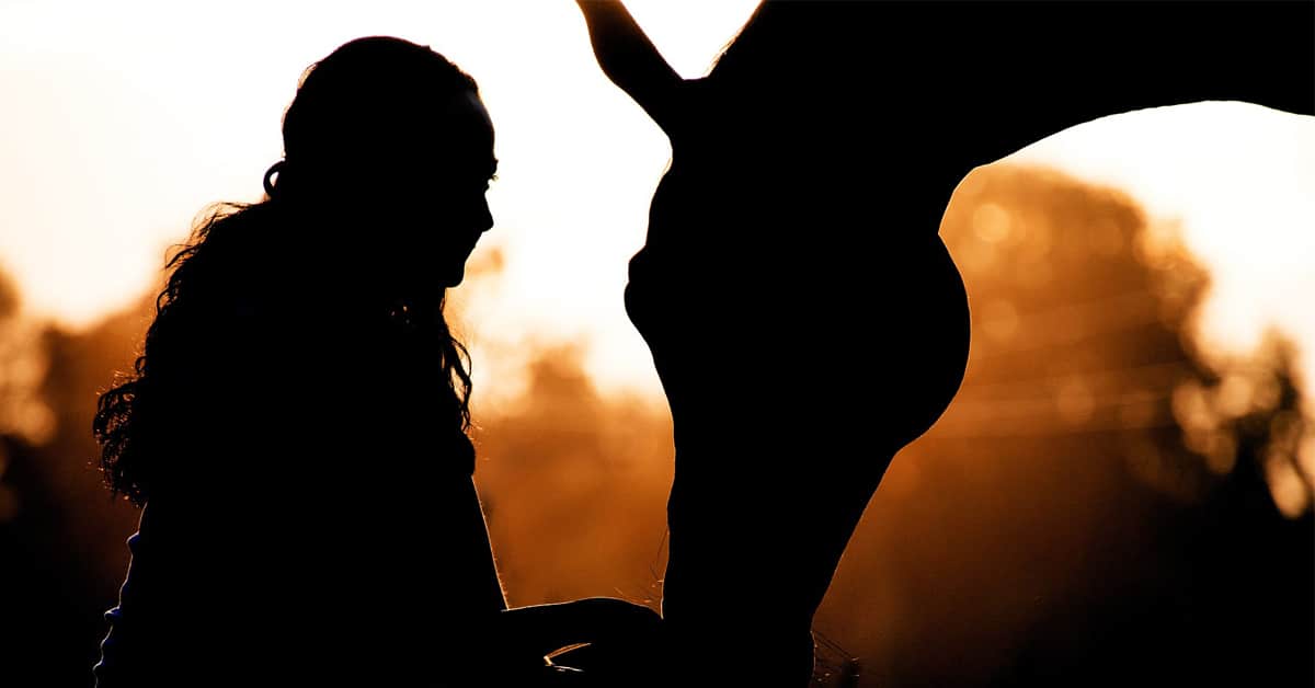 Silouette of a woman and horse