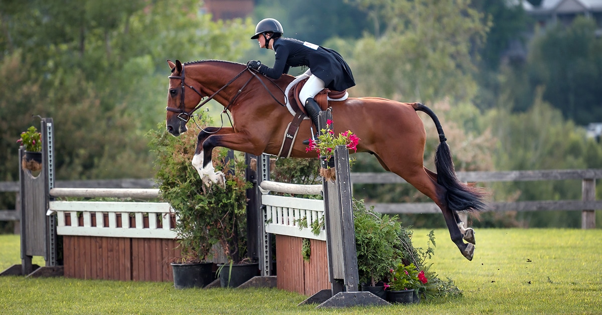Thumbnail for Elodie Lemieux Wins $5,000 Hunter Derby with King’s Landing
