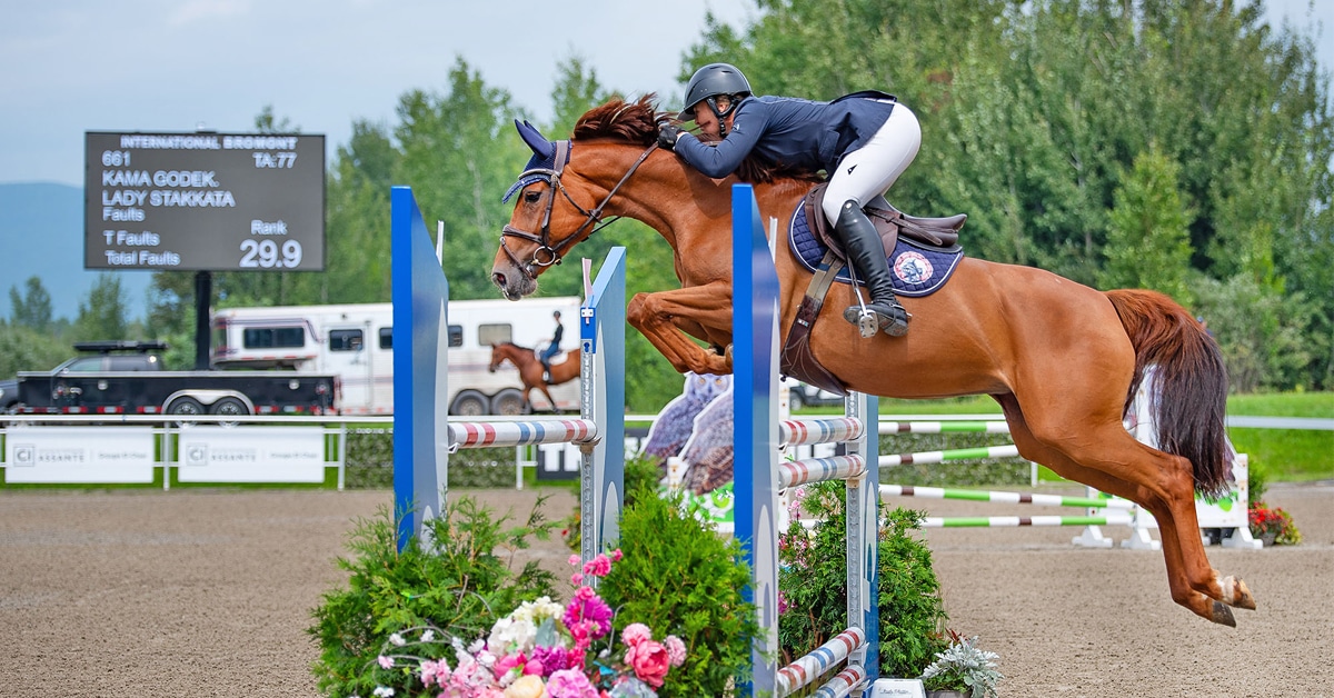 A woman jumping a chestnut horse over a fence.