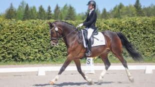 A teenager doing dressage on a bay horse.