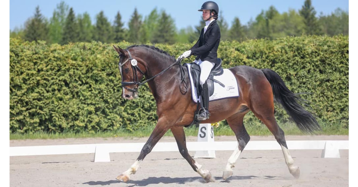 A teenager doing dressage on a bay horse.