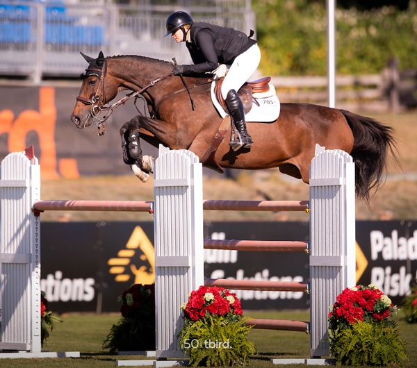 Jaclyn Duff and Eblesse jumping a fence.
