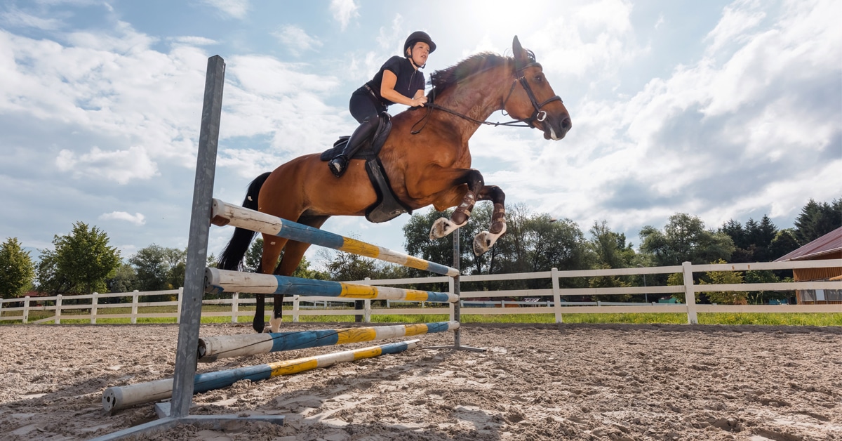 A woman and horse jumping a fence.