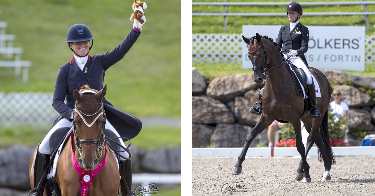 Thumbnail for Final Dressage Pan Am Games Qualifier in Bromont