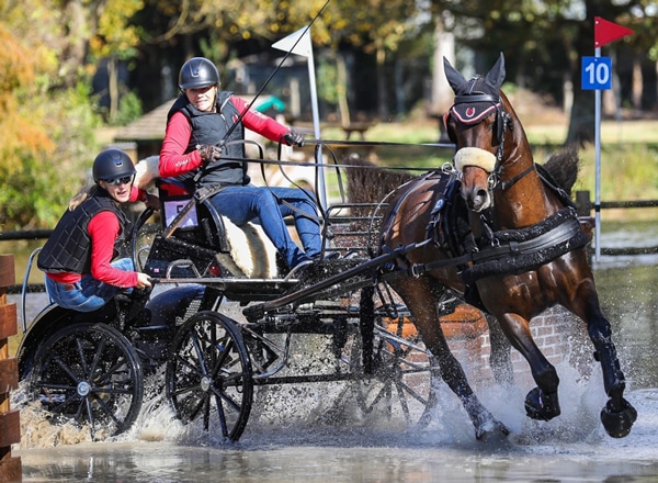 A woman driving a horse through a water obstacle.