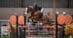 A horse and rider jumping a fence at Thunderbird.