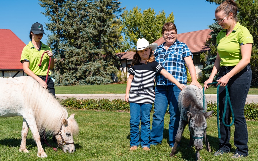 A family holding a mini foal.