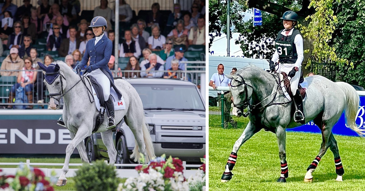 Jessica Phoenix and Wabbit in dressage and after cross-country.