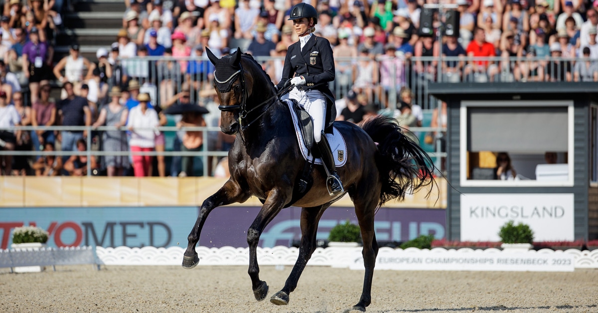 A woman riding a bay horse in a dressage arena.