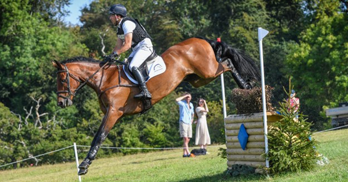 A bay horse and rider jumping a cross-country fence.