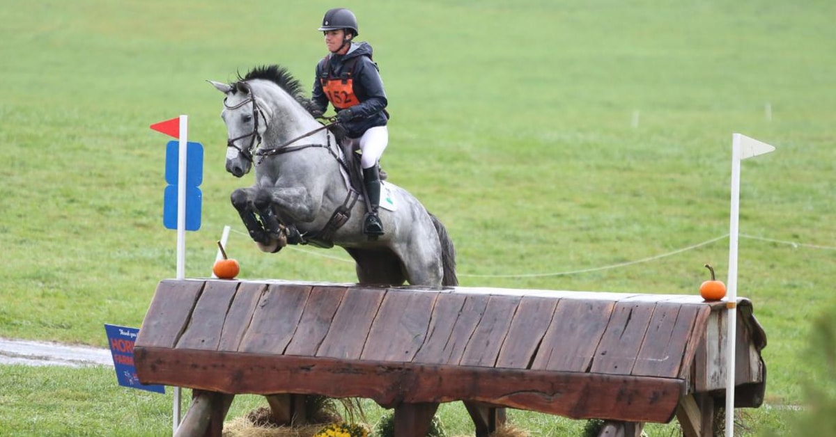 A horse and rider jumping a cross-country fence