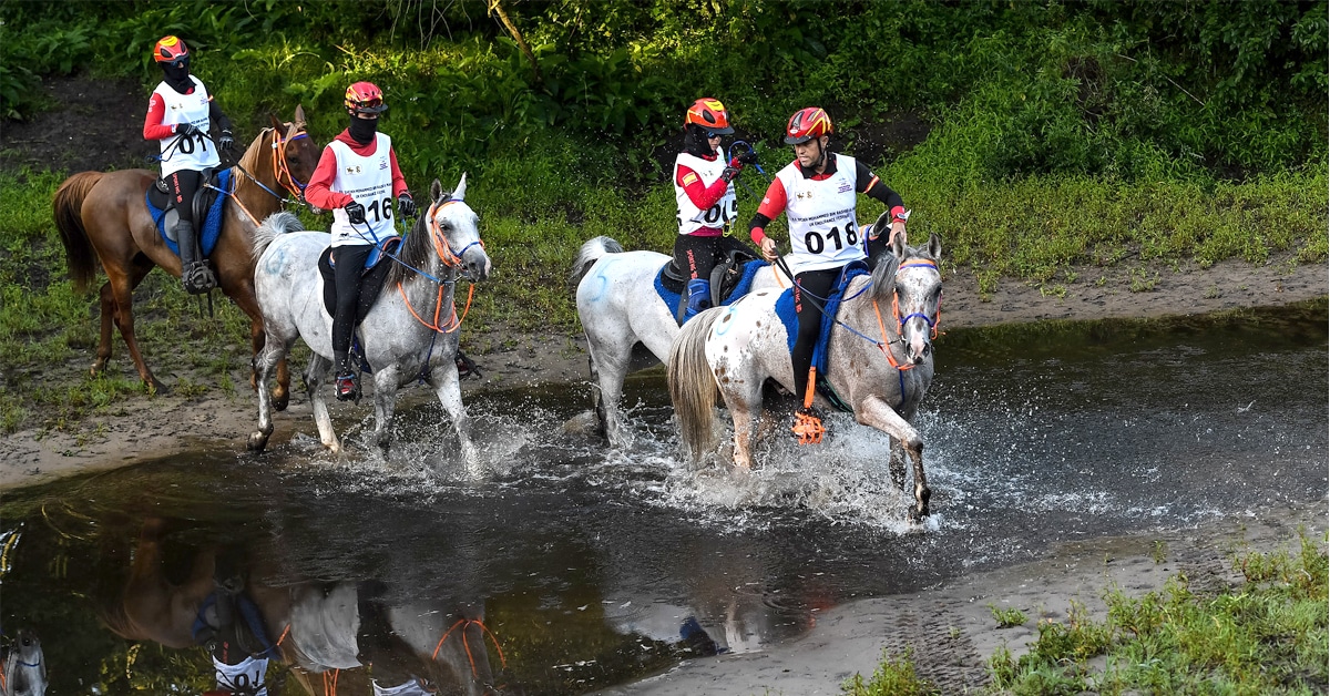 Four horses and riders crossing a river.