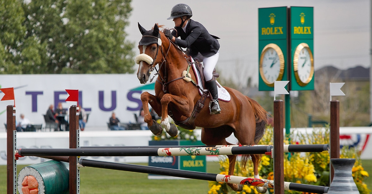 A horse and rider jumping a fence at Spruce Meadows.