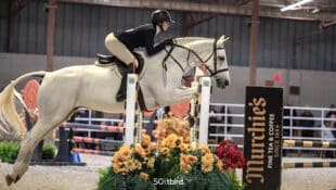 Ava Mikkelson riding grey horse Marshmallow over a jump.