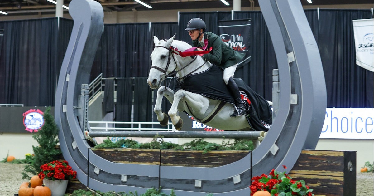 A grey horse and rider jumping a fence at Royal West.