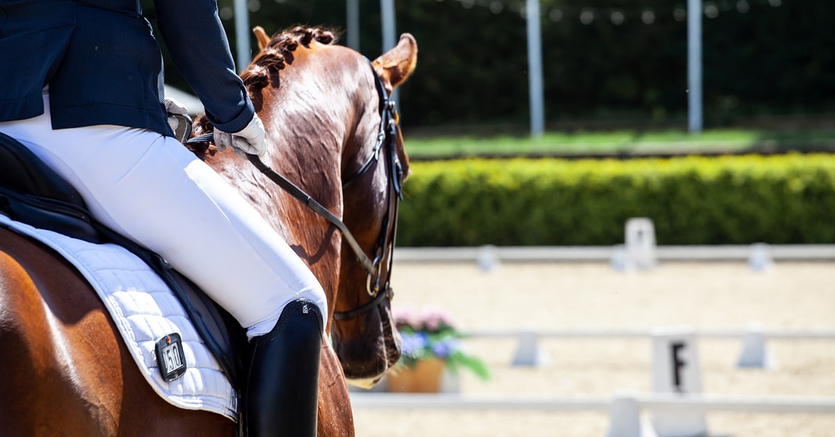 A dressage horse and rider in an arena.