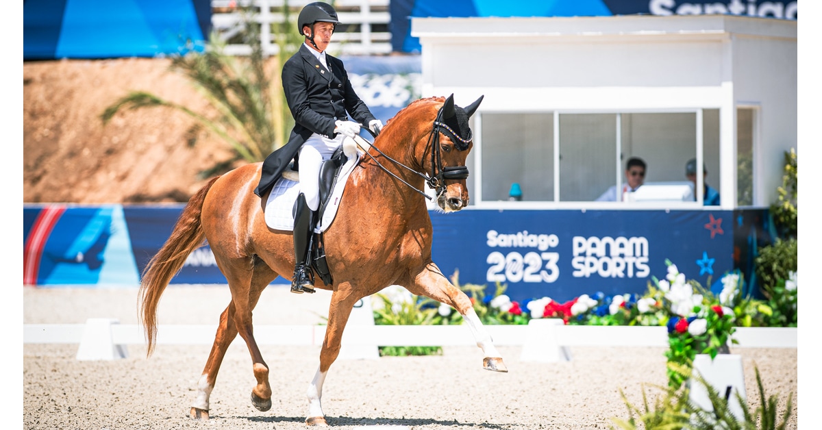 A rider and chestnut horse performing dressage.