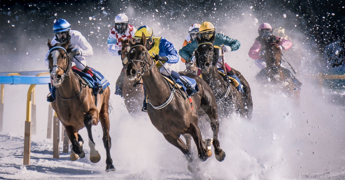 Horses racing in the snow