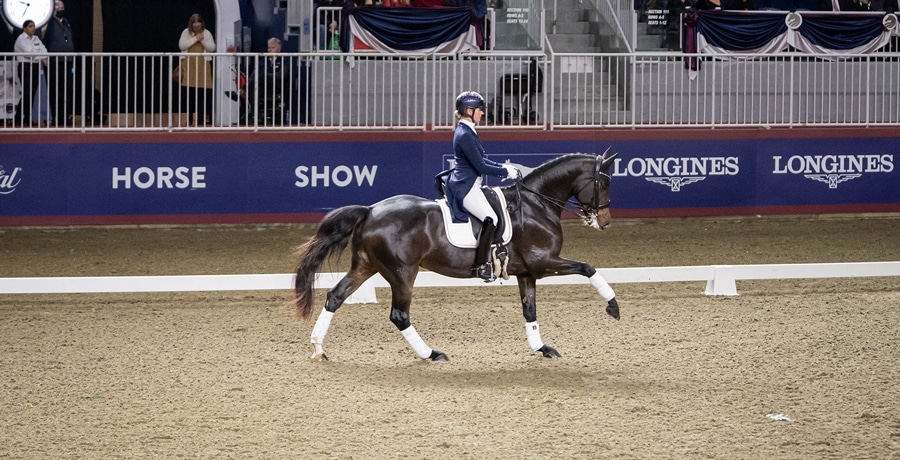 A dressage rider performing.