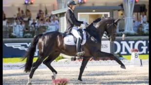 Andreas Helgstrand riding a dressage test.