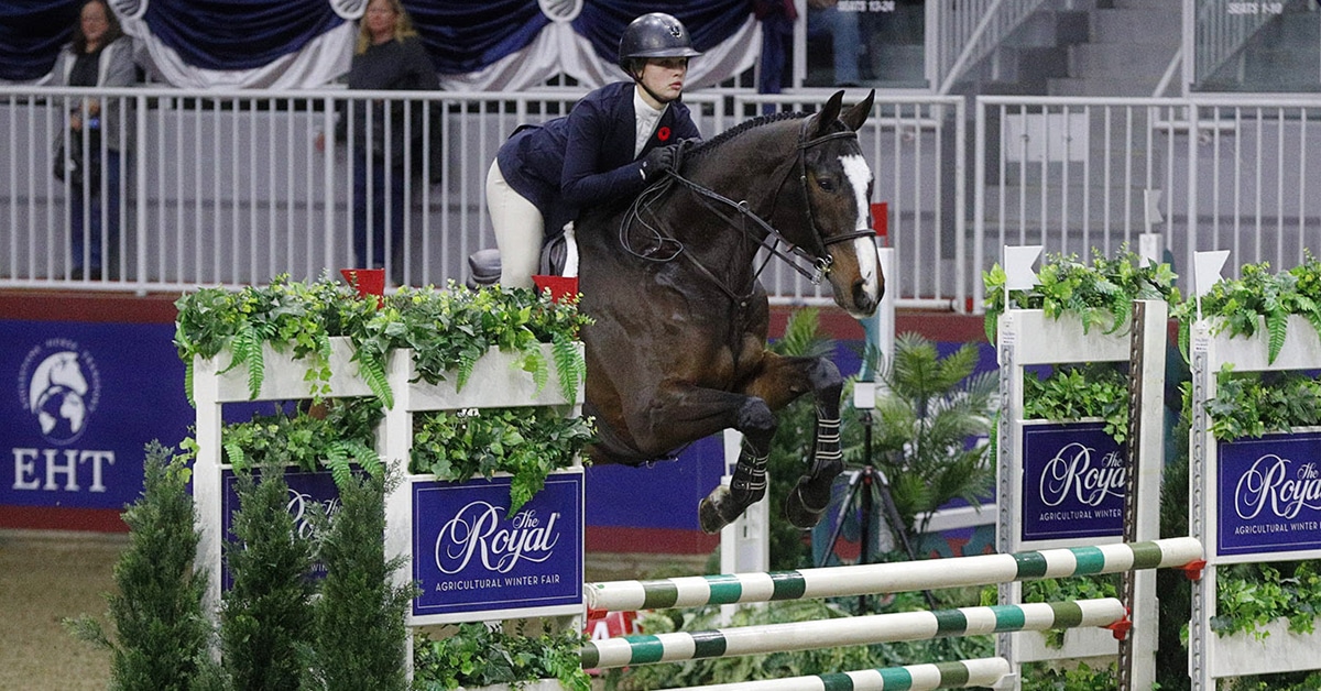 A bay horse and rider jumping a fence at the Royal.