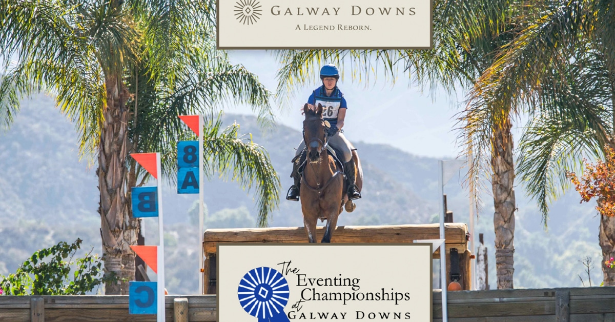 A horse and rider jumping a cross-country fence at Galway Downs.