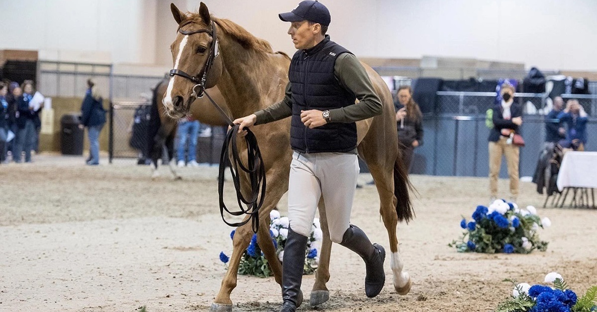 A person jogging a horse at an FEI event.