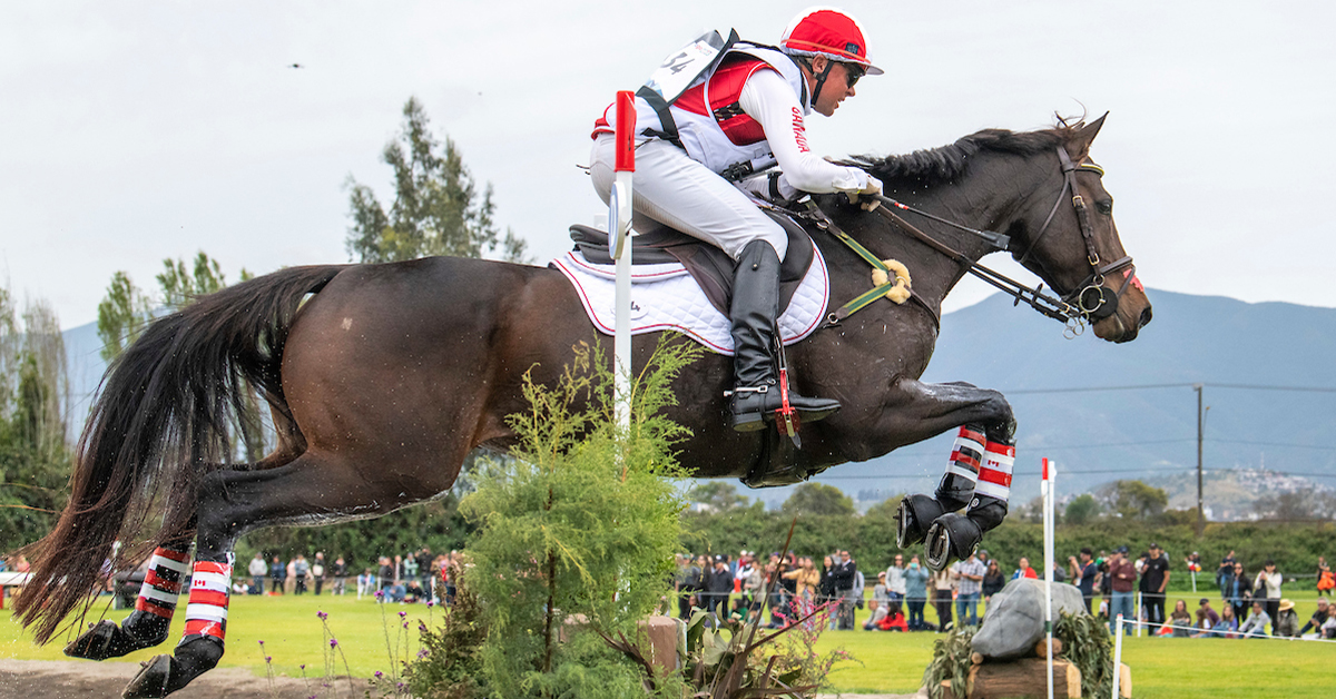 Horse and rider jumping a cross-country fence.