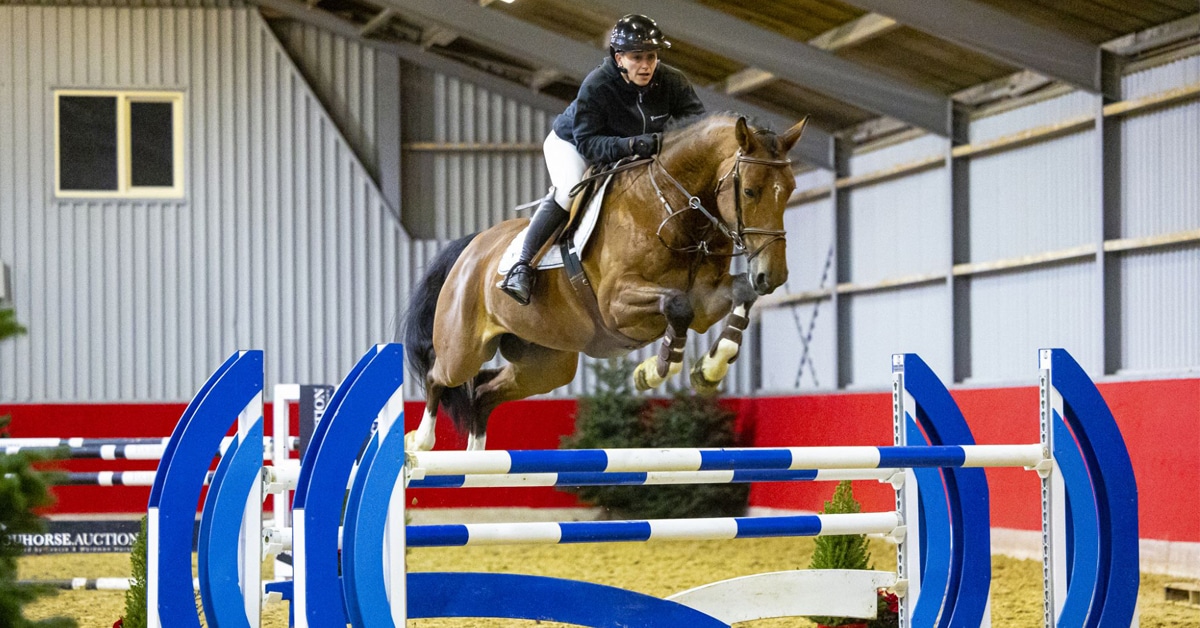 A horse and rider jumping a fence in NL.