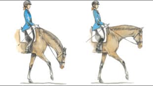 Illustrations of a rider and horse with lowered head.